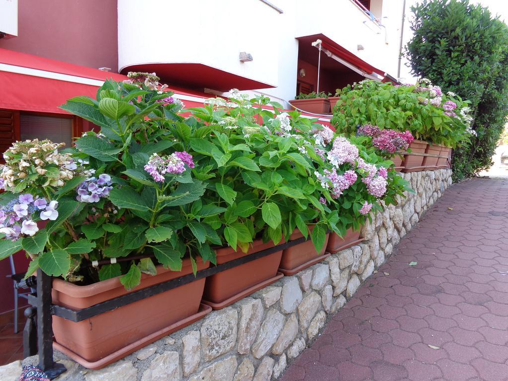 Apartmani Adrijan Krk Krk Town Extérieur photo