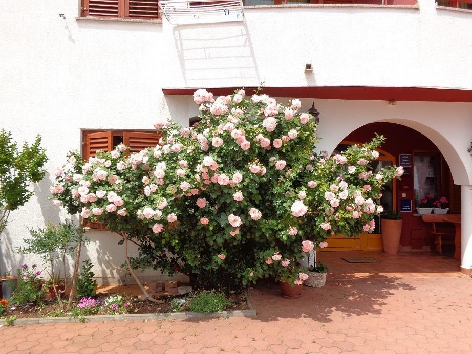 Apartmani Adrijan Krk Krk Town Extérieur photo